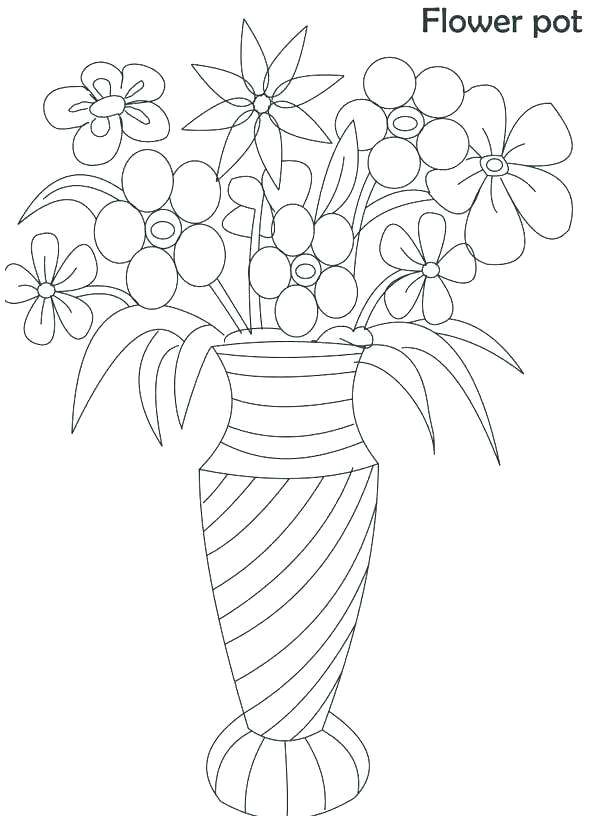 Drawing Of Flower Pot Images the Best 30 Drawing Of Flower Fabio Bortolani