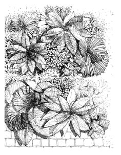 Drawing Of Flower Scenery 387 Best Landscape Design Drawing Images Architectural Drawings
