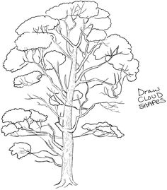 Drawing Of Flower Tree 865 Best How to Draw Nature Flowers Trees and More Images In 2019