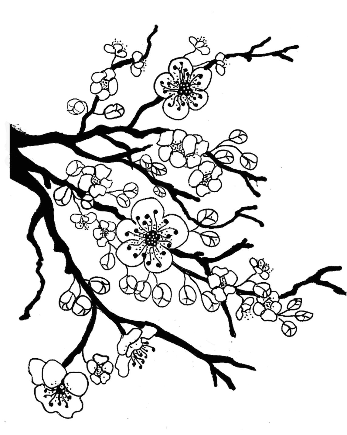 Drawing Of Flower Tree Sakura Bloom Drawing Lotus Blossom Coloring Page Full Bloom