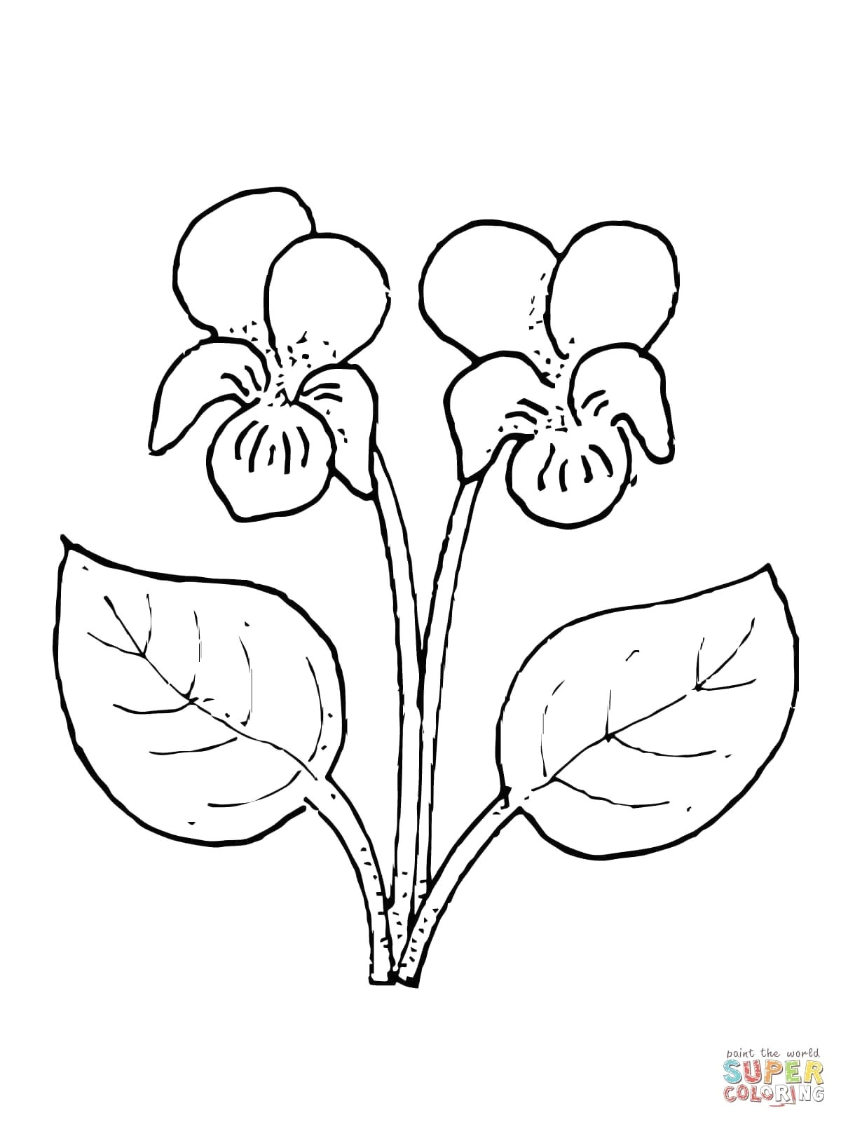 Drawing Of Flower Vase for Kid 19 Awesome White Single Flower Vase Bogekompresorturkiye Com