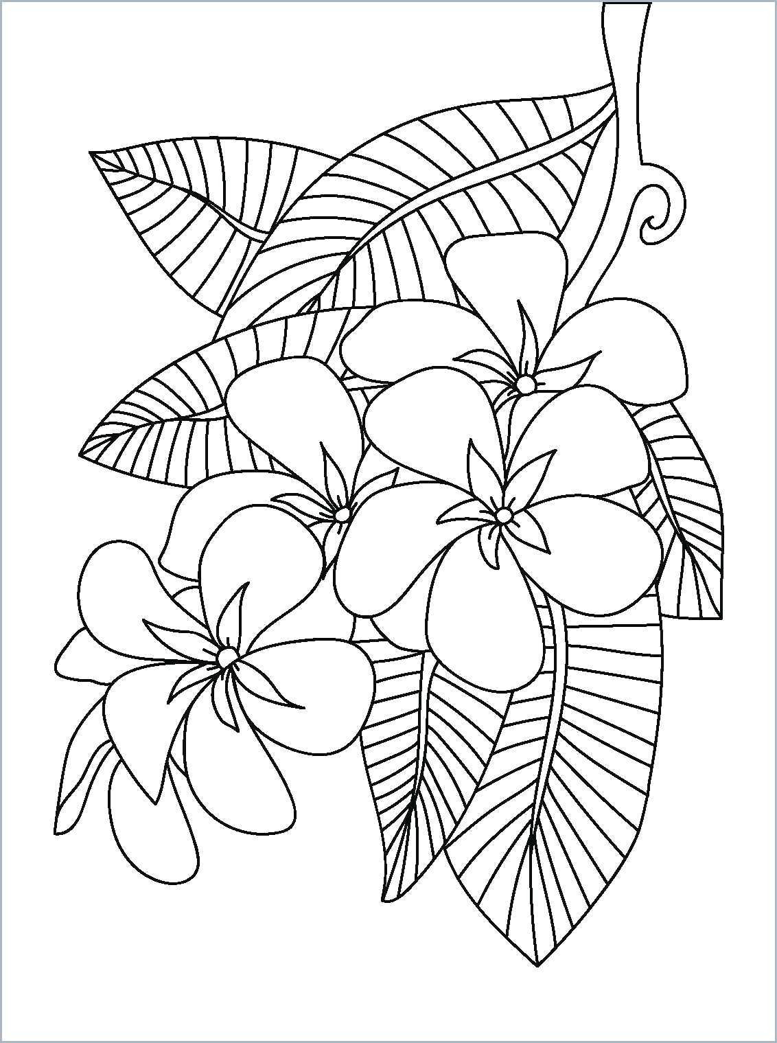 Drawing Of Flower Vase for Kid Flower Coloring Pages Fabulous Flower Girl Coloring Pages Drawing