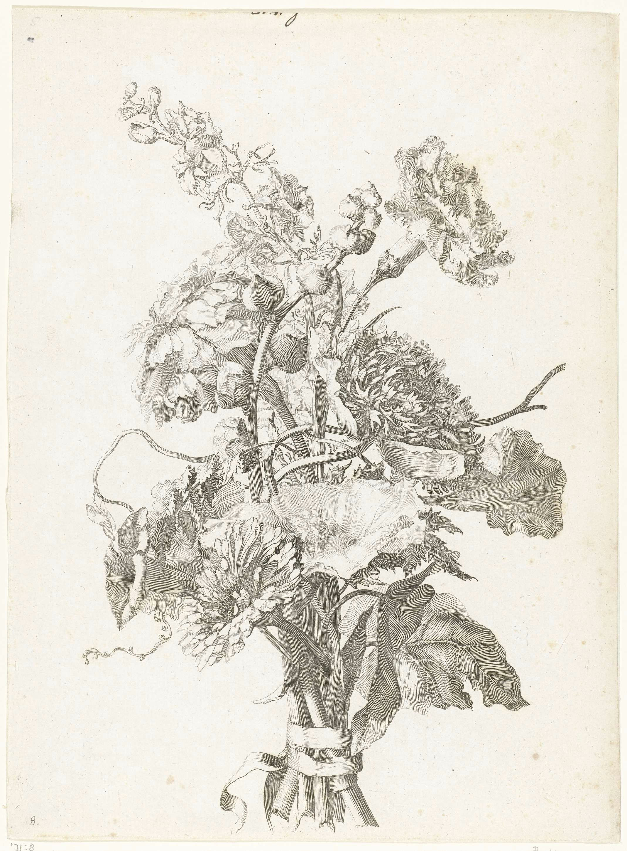 Drawing Of Flower with Roots Jacques Bailly I Boeket Van Verschillende Bloemen Jacques