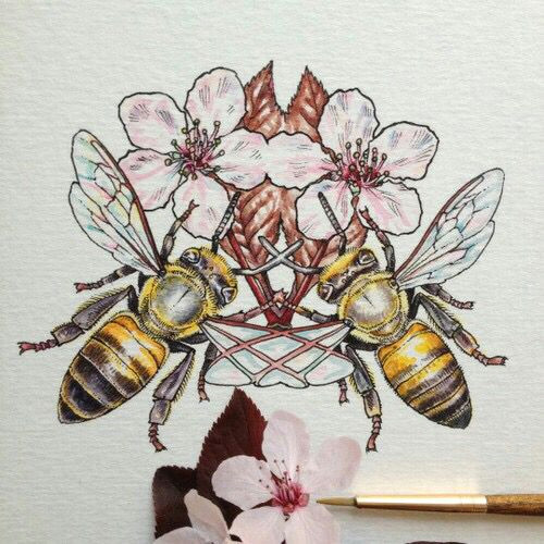 Drawing Of Flowers and Bees Bees Flowers Art Bees Honey Pinterest