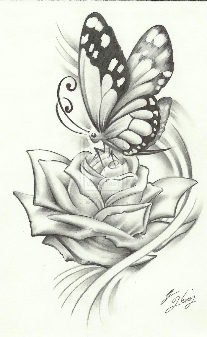 Drawing Of Flowers and butterflies butterfly Pencil Drawing if It Were A Dragonfly It Would Be Perfect