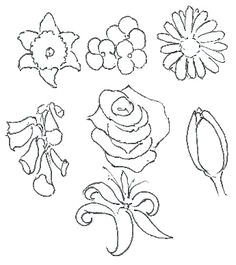 Drawing Of Flowers and Nature 361 Best Drawing Flowers Images Drawings Drawing Techniques