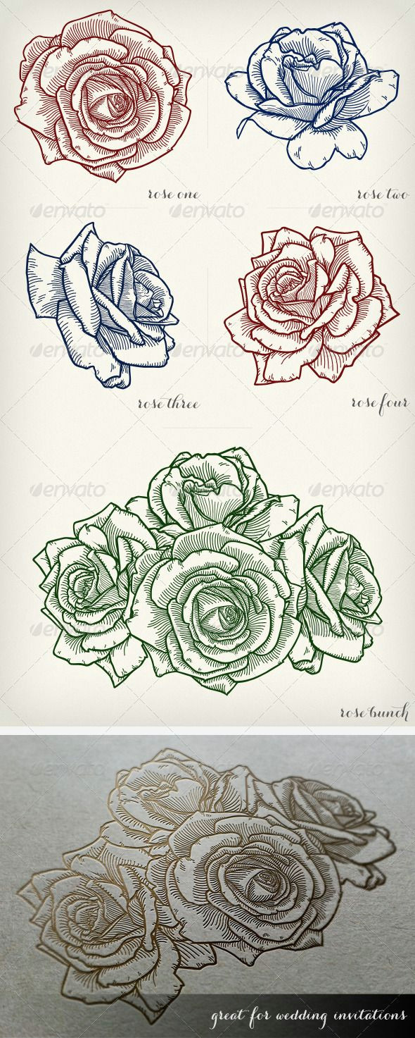 Drawing Of Flowers and Nature Detailed Vector Roses Flowers Plants Nature Art In 2018