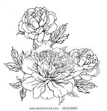 Drawing Of Flowers Background 173 Best Drawings Flowers More Images Flower Designs Coloring