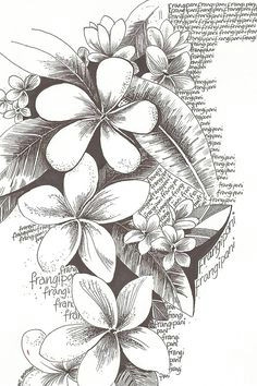 Drawing Of Flowers Black and White 1412 Nejlepa A Ch Obrazka Z Nasta Nky Flower Drawings Drawings