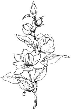 Drawing Of Flowers Border 28 Best Line Drawings Of Flowers Images Flower Designs Drawing