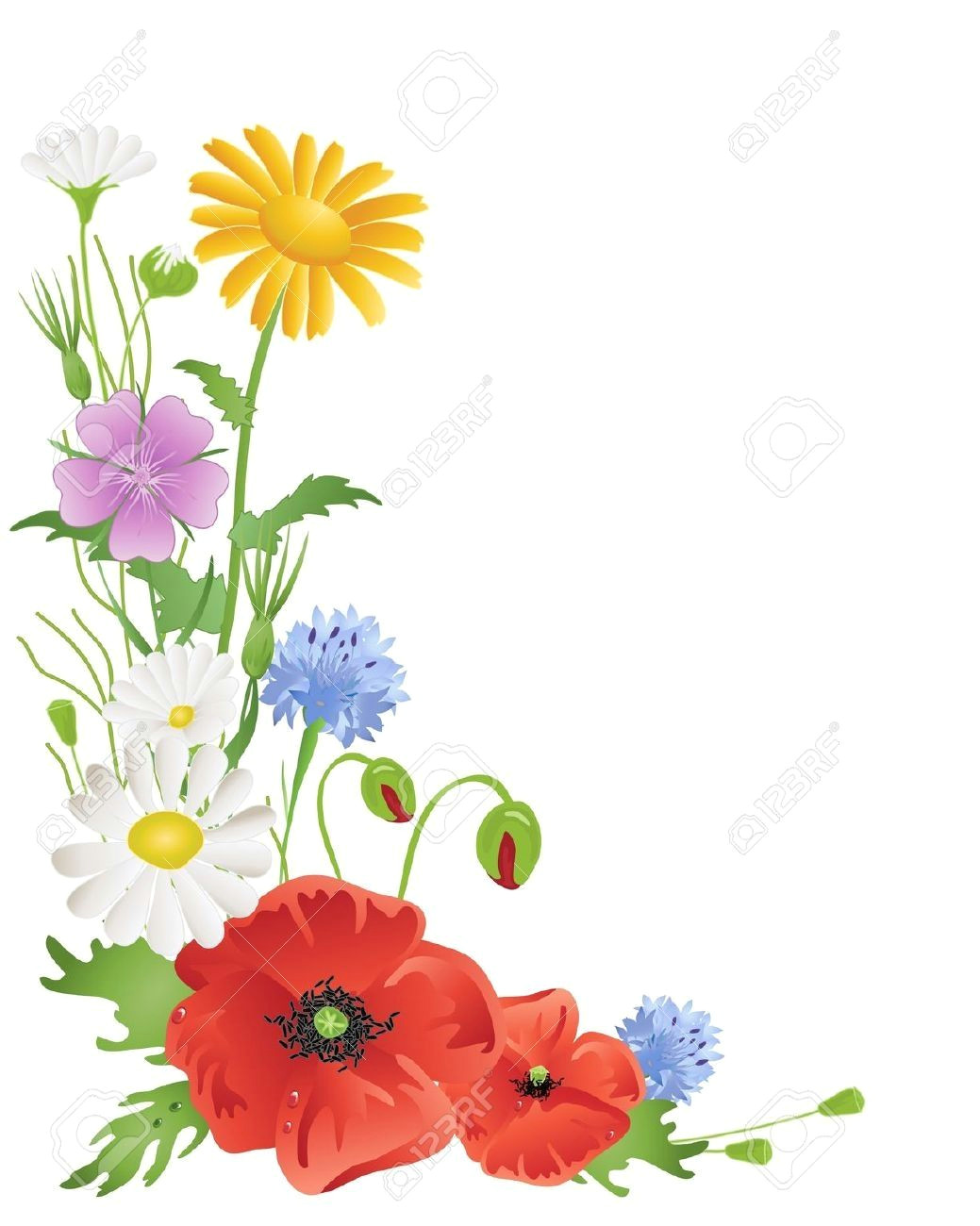 Drawing Of Flowers Border Drawings Of A Bunch Of Wild Flowers Wildflowers Borders Clipart