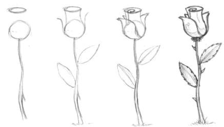 Drawing Of Flowers for Beginners 61 Best Art Pencil Drawings Of Flowers Images Pencil Drawings