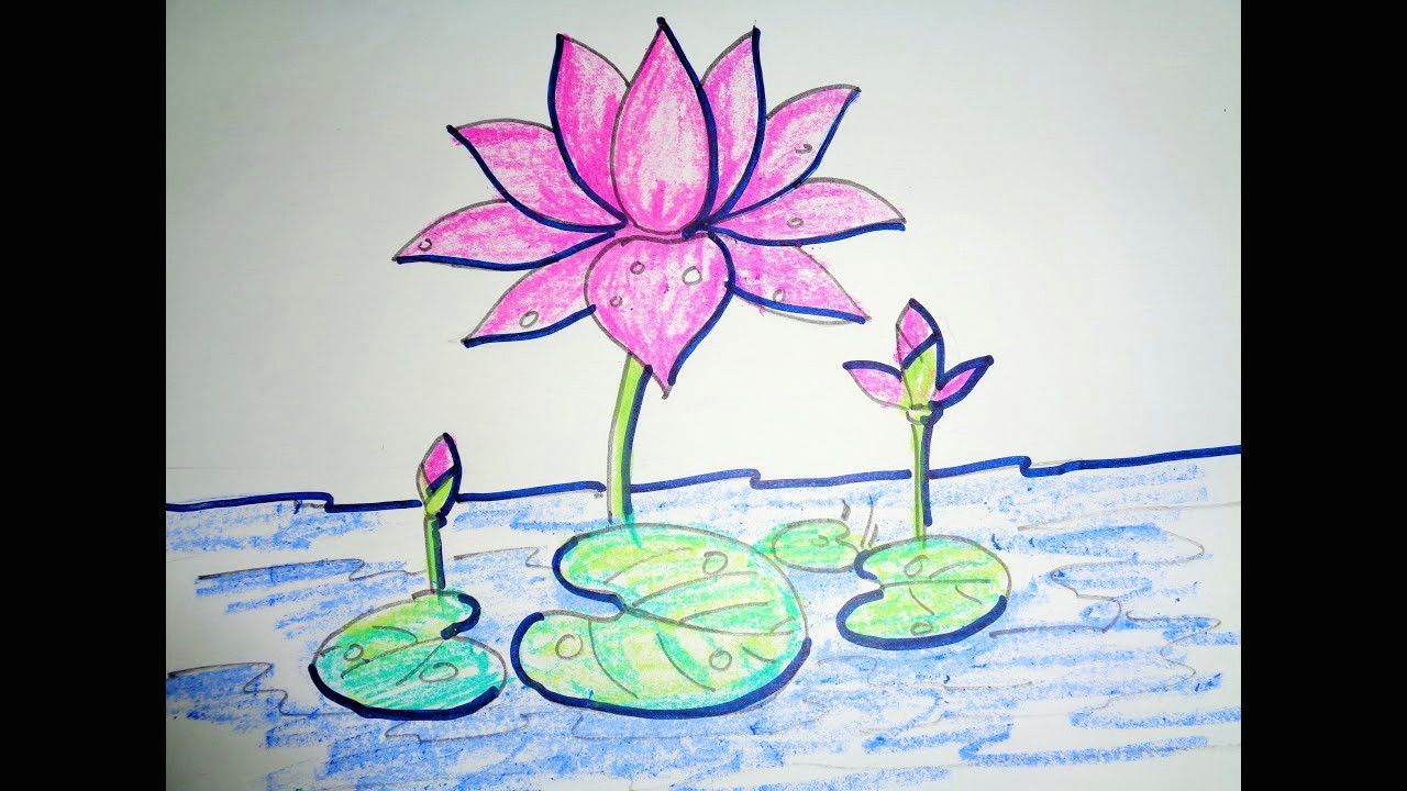 Drawing Of Flowers for Class 1 How to Draw Lotus Step by Step Easy Drawing Youtube