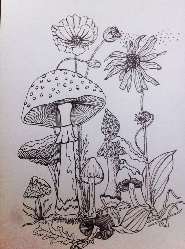 Drawing Of Flowers Garden Pin by Vicki Stout On Coloring Pages Pinterest Drawings Art