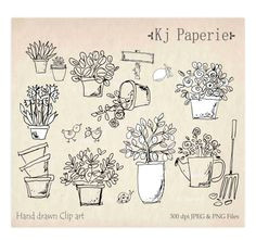 Drawing Of Flowers In Pot 184 Best Drawing Flower Pot Illustration Images Doodles