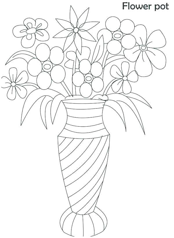 Drawing Of Flowers In Pot Drawing Pictures Of Flowers for Sale How Much is Yours Worth