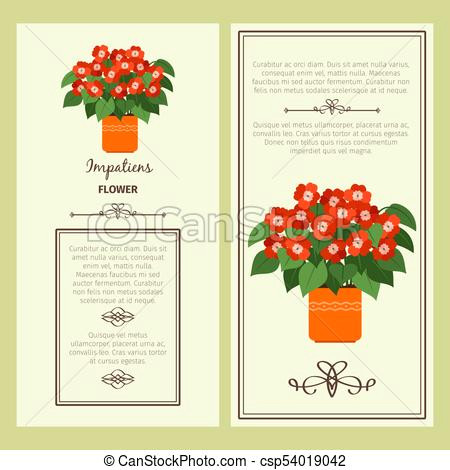 Drawing Of Flowers In Pot Impatiens Flower In Pot Banners Impatiens Flower In Pot Vector