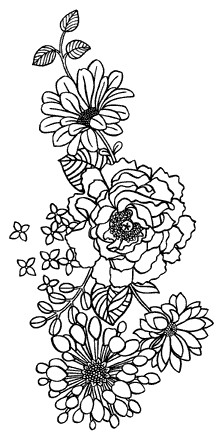 Drawing Of Flowers Market 5119h Climbing Blooms Colouring Pages Pinterest Dibujos and