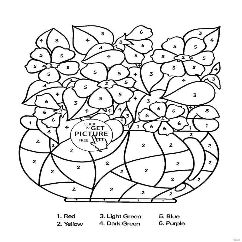 Drawing Of Flowers Photo Step by Step Drawing Flowers Guides and Reports