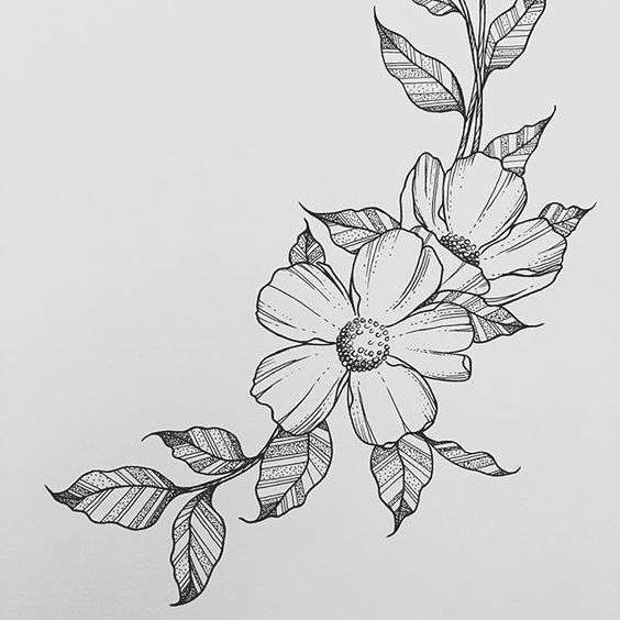 Drawing Of Flowers Pinterest 25 Fancy Draw A Flower Helpsite Us