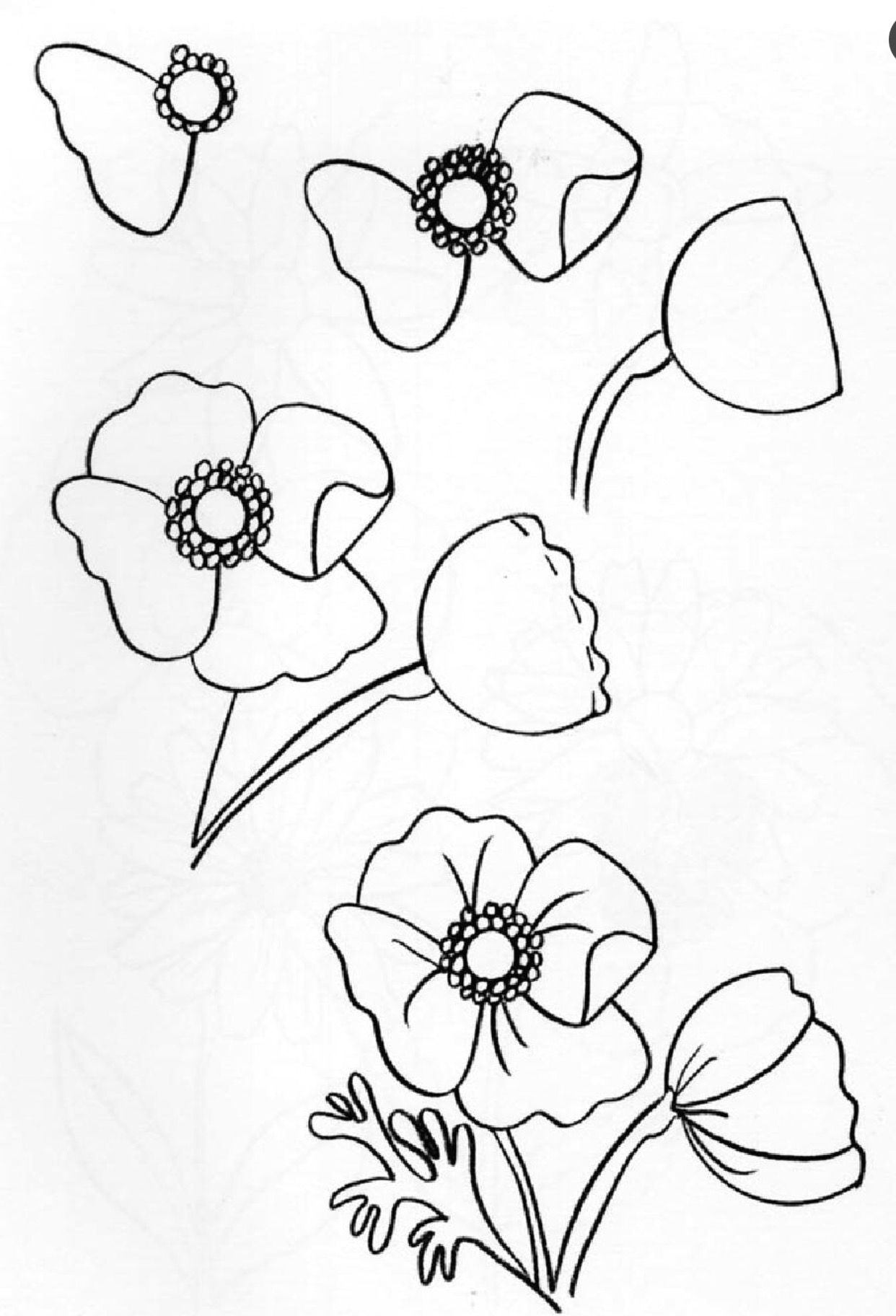 Drawing Of Flowers Pinterest Pin by Lori Gagnon On How to Draw Pinterest Drawing Step Draw