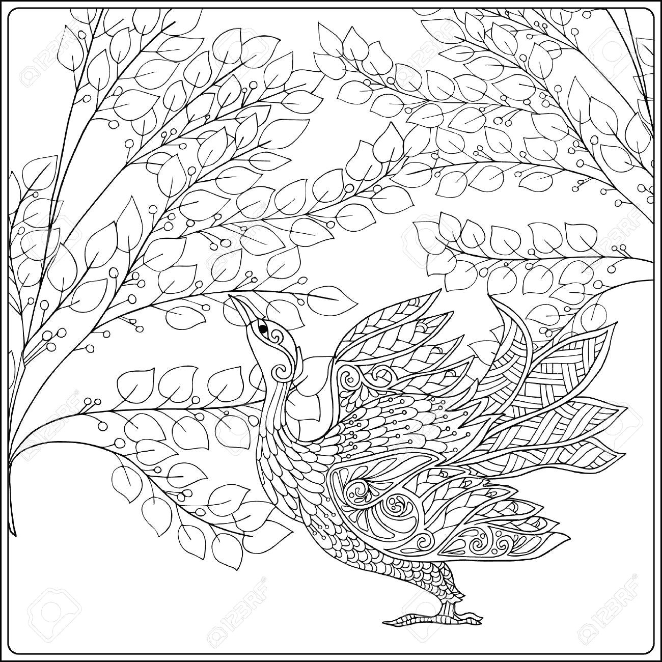 Drawing Of Flowers with Birds Decorative Flowers and Bird Coloring Book for Adult and Older