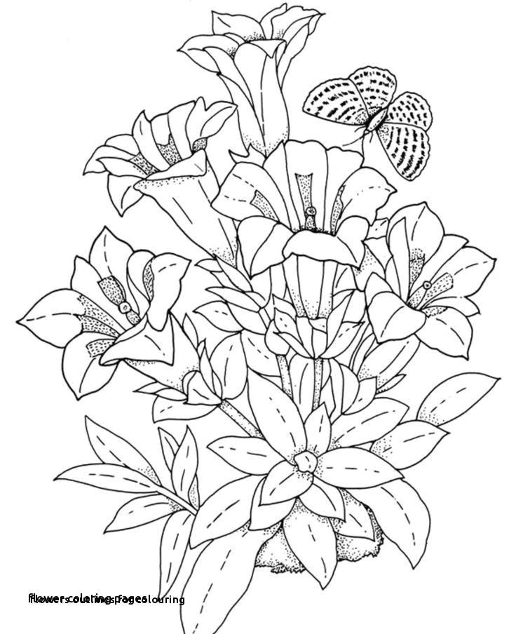 Drawing Of Flowers with Colour Awesome Flower Coloring Page Davis Lambdas Com