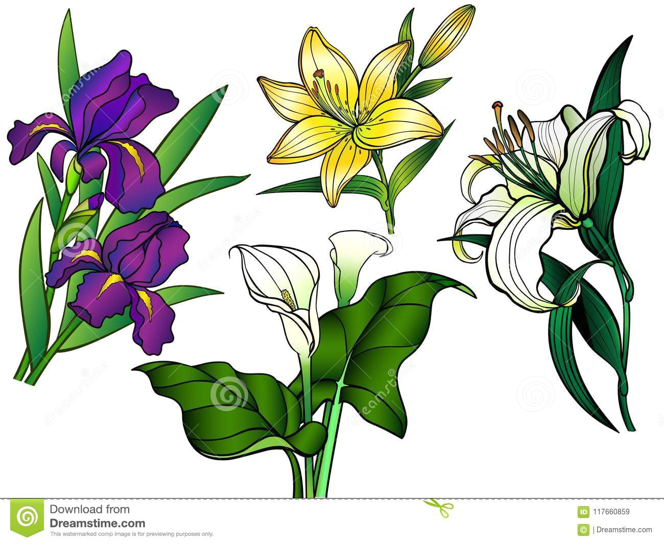 Drawing Of Flowers with Leaves Flowers Set Of Flowers Bouquets Linear Flowers and Leaves with A