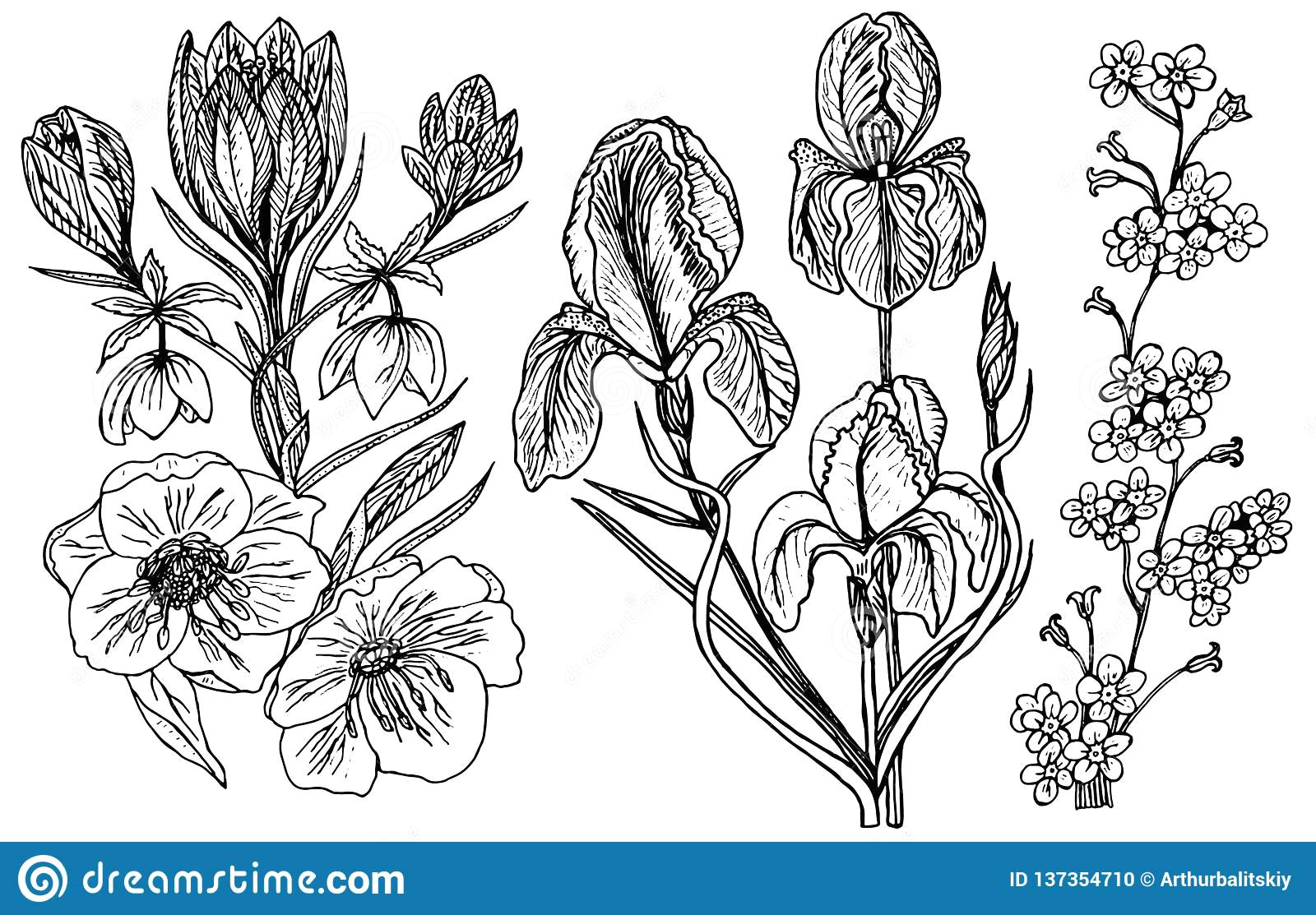 Drawing Of Flowers with Leaves Wild Flowers with Leaves Set Of Wedding Botanical Plant with Leaf