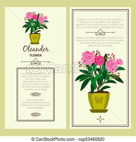 Drawing Of Flowers with Pot Oleander Flower In Pot Banners Oleander Flower In Pot Vector