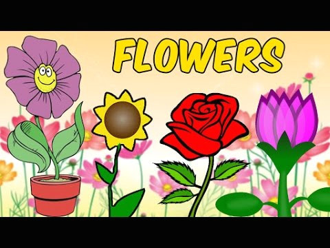 Drawing Of Flowers with their Names Names Of Flowers with Pictures In Hindi Hindi Lessons for Kids Educational Videos for Kids