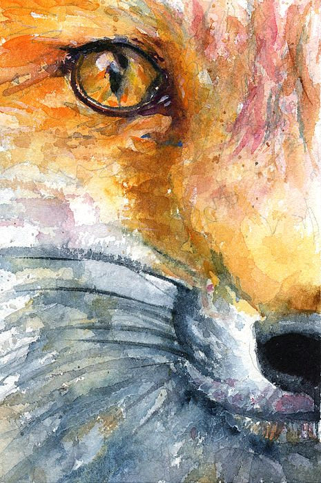 Drawing Of Fox Eyes Eye Of Fox 1 Painting Birds and Other Animals In Watercolor Fox