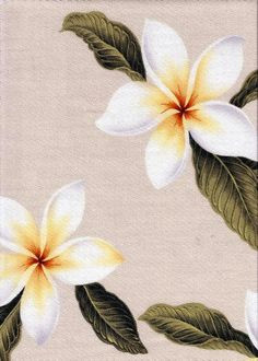 Drawing Of Frangipani Flower 192 Best Plumeria Images In 2019 Beautiful Flowers Hawaiian