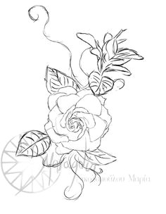 Drawing Of Gardenia Flower 47 Best Gardenia Tattoo Designs Images Gardenia Tattoo Floral