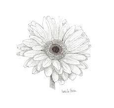 Drawing Of Gerbera Flower Gerbera Tats Pinterest Tattoos Gerbera Daisy Tattoo and