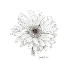 Drawing Of Gerbera Flower Gerbera Tats Pinterest Tattoos Gerbera Daisy Tattoo and