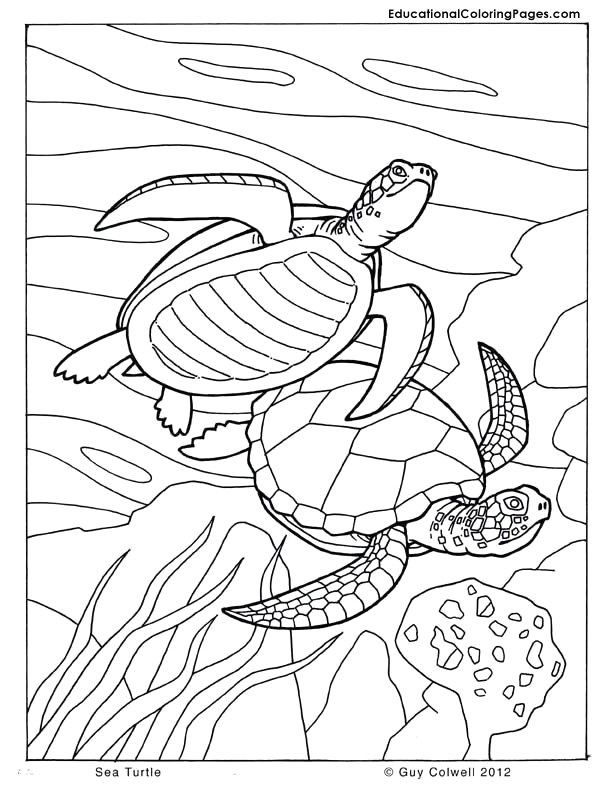 Drawing Of Girl Fishing Unicorn Pages to Color Beautiful 26 Best Unicorn Coloring Pages