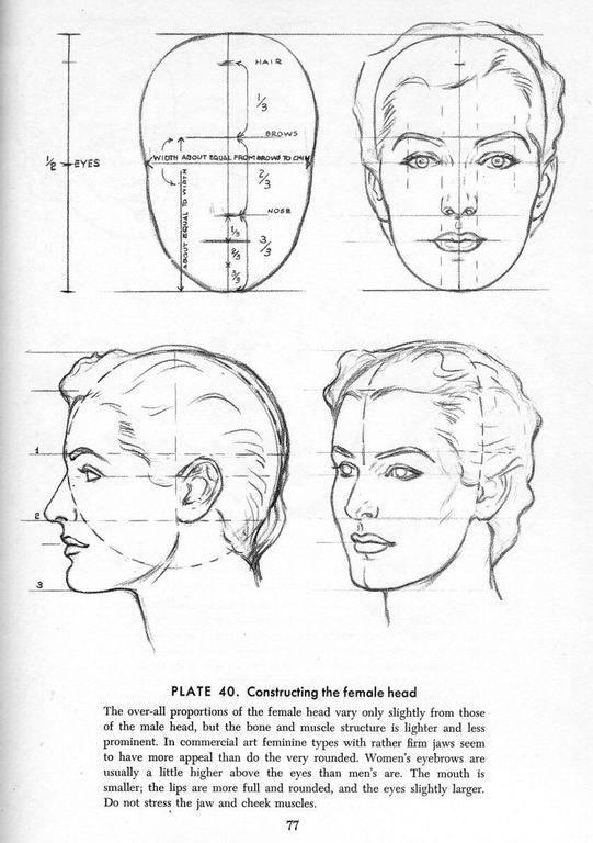 Drawing Of Girl Head Proportion Guide for How to Draw the Female Head From the Book