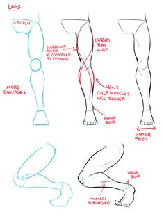 Drawing Of Girl Legs 242 Best Draw Human Legs Images Figure Drawing Anatomy Drawing