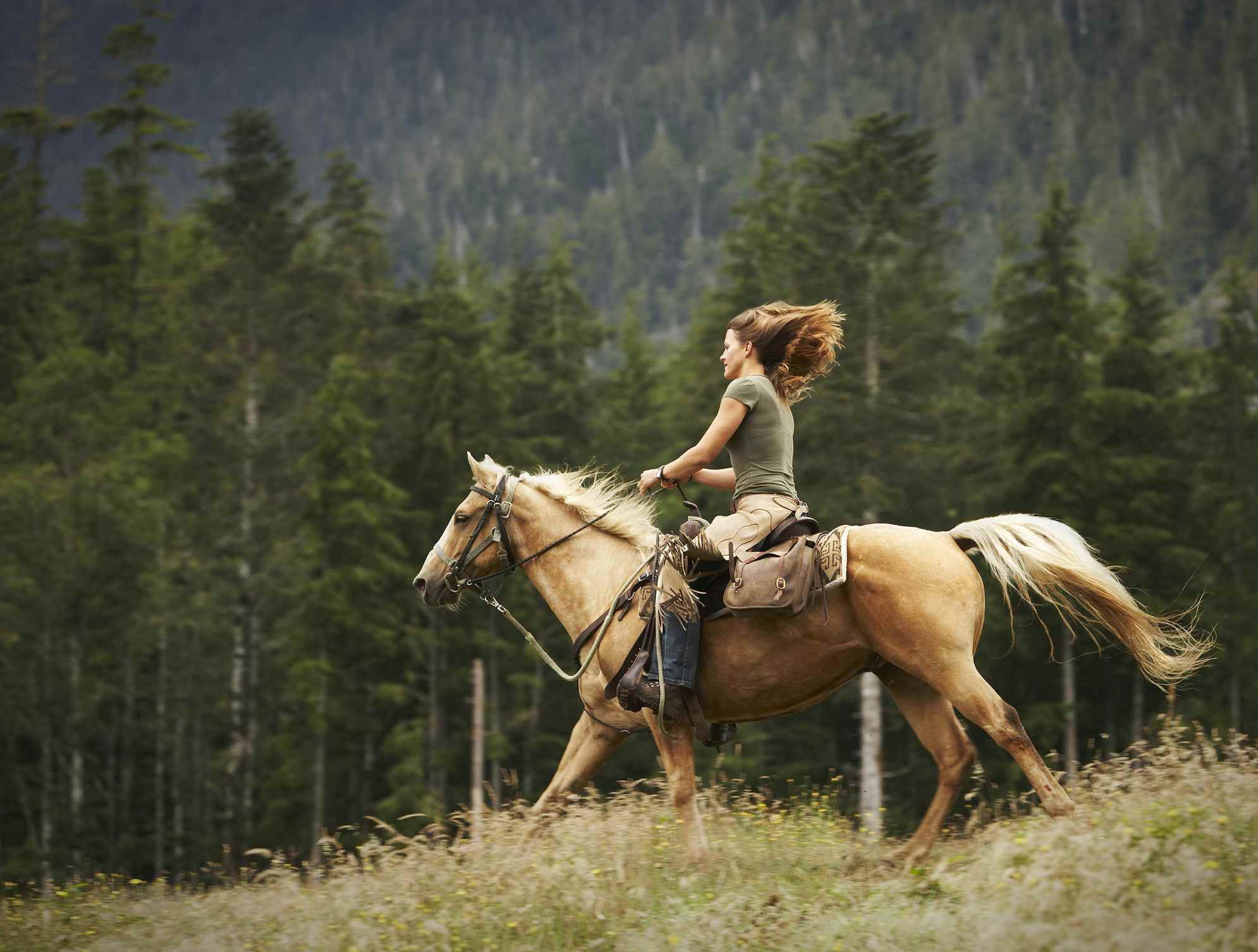 Drawing Of Girl Riding Horse the top 10 Beginner Horse Riding Mistakes