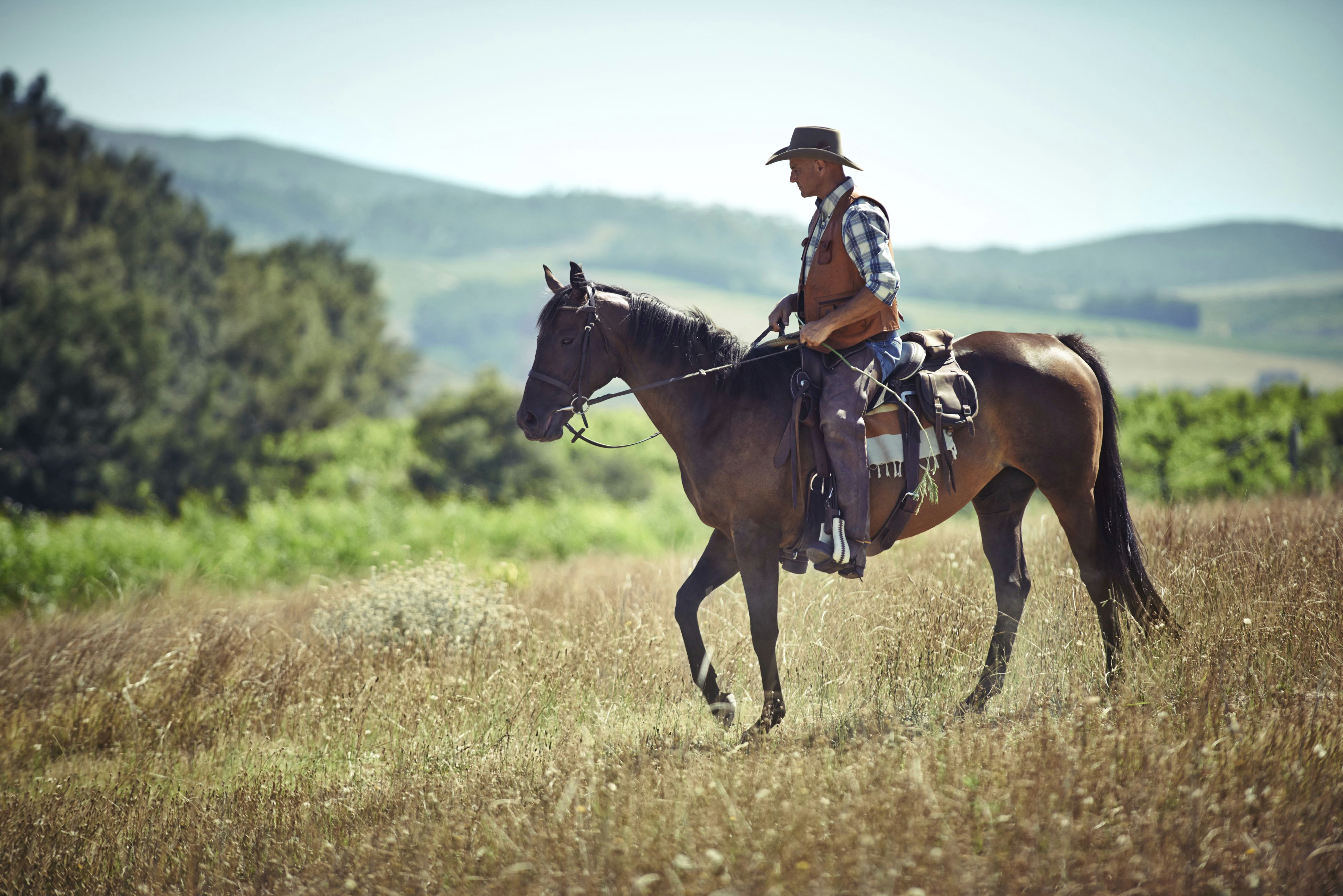 Drawing Of Girl Riding Horse the top 10 Beginner Horse Riding Mistakes