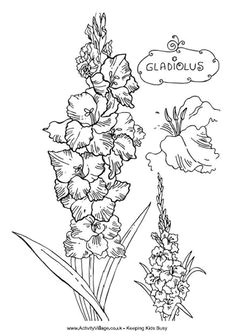 Drawing Of Gladiolus Flower 17 Best Gladiolus Tattoo Black Images Gladiolus Flower Tattoos