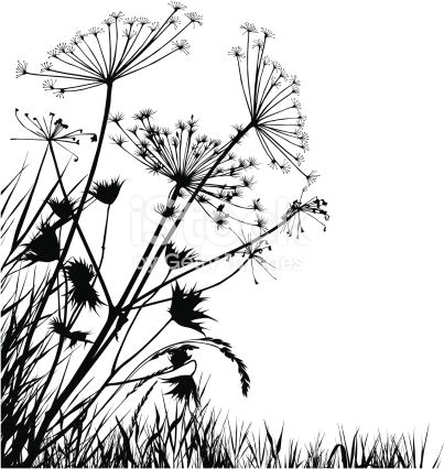 Drawing Of Grass Flowers Meadow with Variable Grass Szablony Malowanie Grass Silhouette