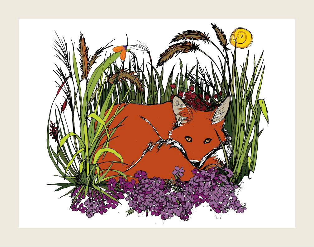 Drawing Of Grass Flowers Snug My Cozy Little Fox Sketch Sun Nature Handrawn Drawing