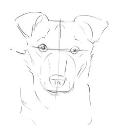 Drawing Of Greedy Dog 1150 Best Doodle and Draw Images In 2019