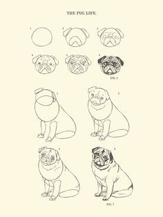 Drawing Of Greedy Dog 120 Best Drawing Dog Images Cute Drawings Kawaii Drawings Doggies