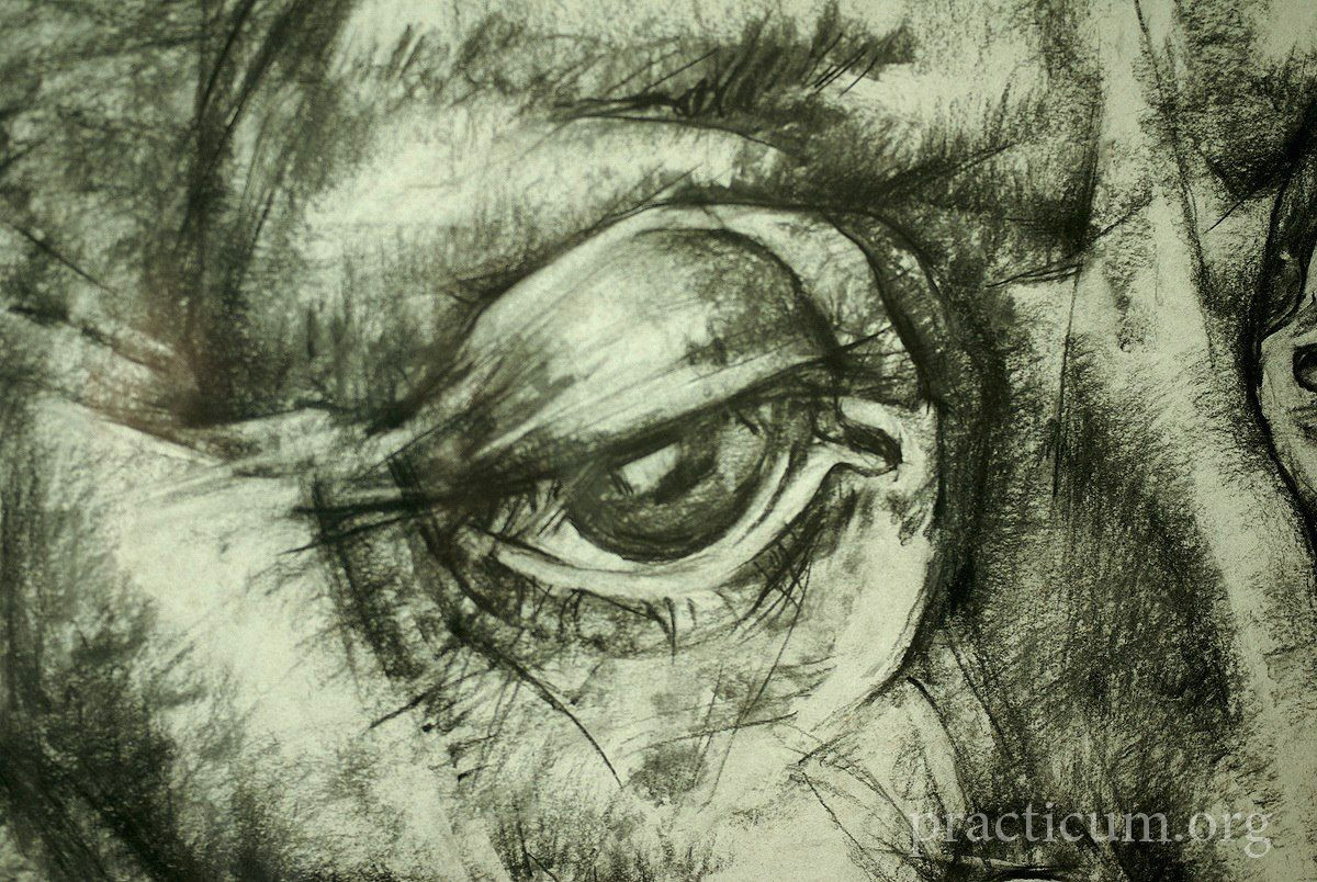 Drawing Of Green Eye Fragment Of the Picture Academy Drawing Pinterest Drawings