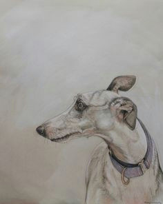Drawing Of Greyhound Dog 160 Best Release the Hounds Images Greyhounds Greyhound Art