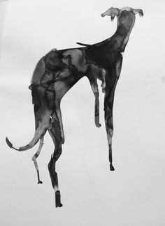 Drawing Of Greyhound Dog 490 Best Artsy Greyhounds 2 Images Greyhound Art Italian