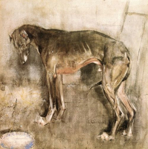 Drawing Of Greyhound Dog Joseph Crawhall 1861 1913 Art Animals Insects Fish and